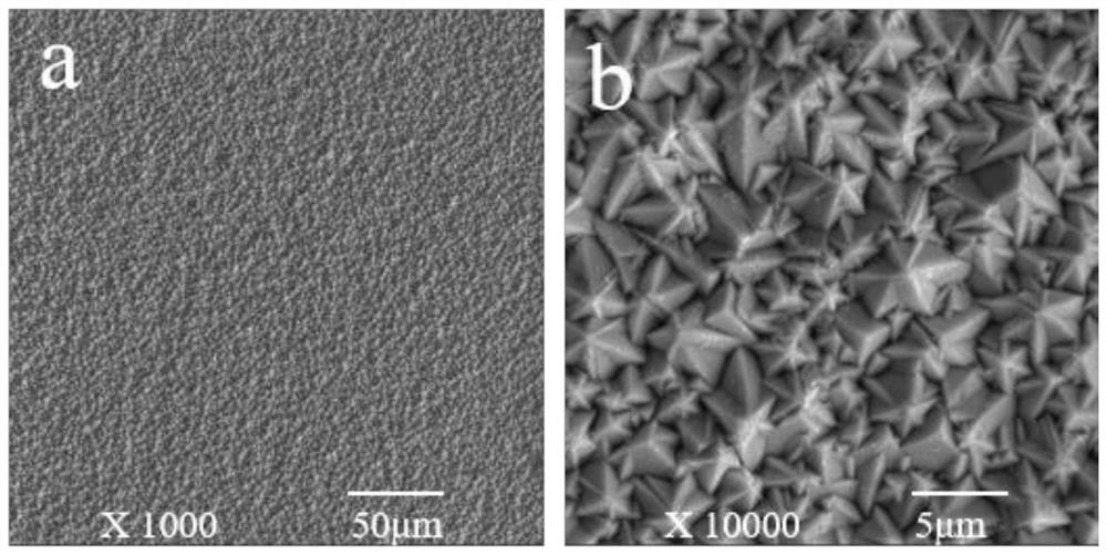 A kind of molten salt electrodeposition method of niobium coating