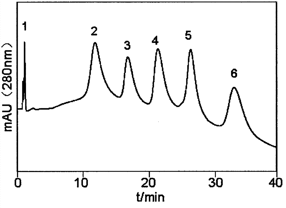 Preparation and application of high performance hydrophobic interaction chromatography packing material taking cholesterol as aglucon