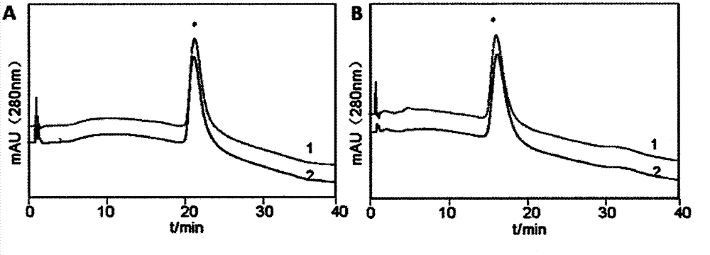 Preparation and application of high performance hydrophobic interaction chromatography packing material taking cholesterol as aglucon