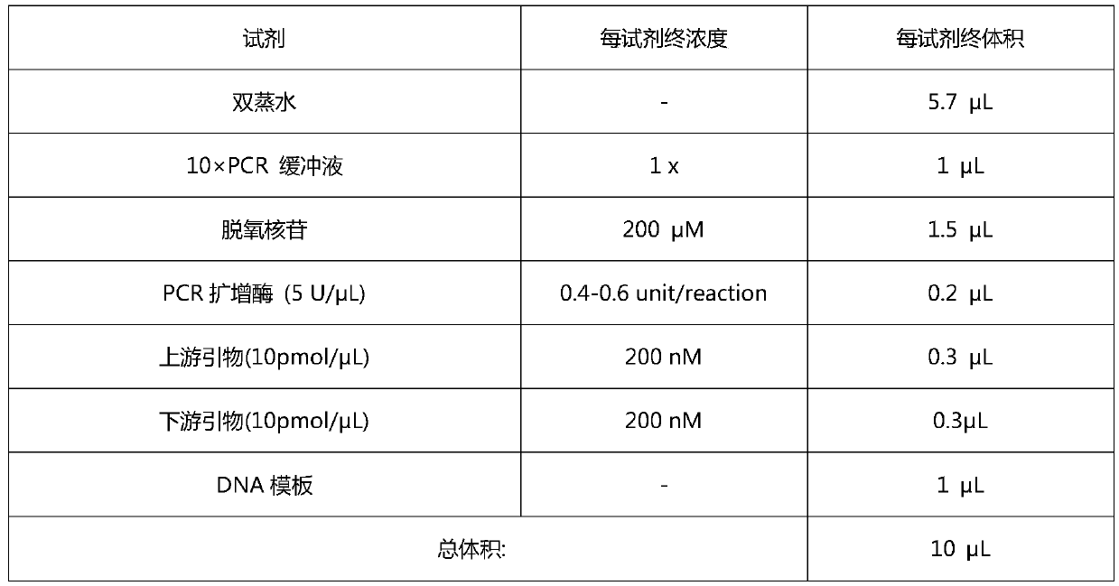 Detection primer for methylation of MT2 (melatonin receptor 2) gene promoter region and detection method and application