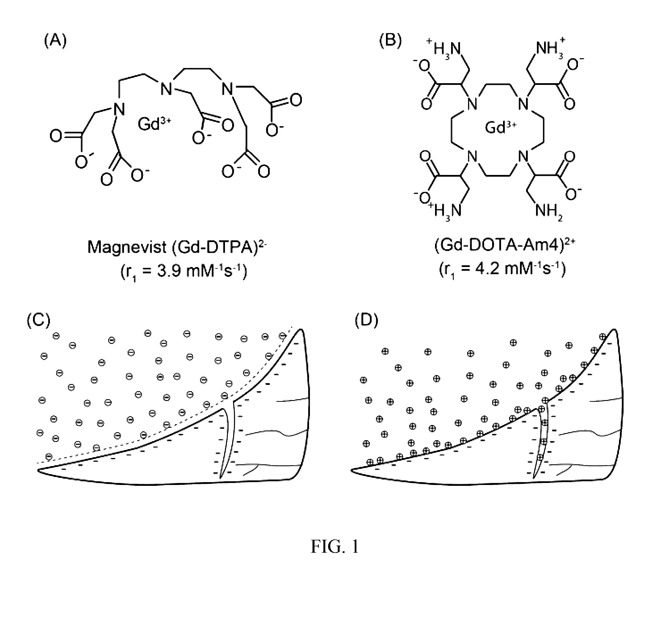 Cationic contrast agents and methods of using the same