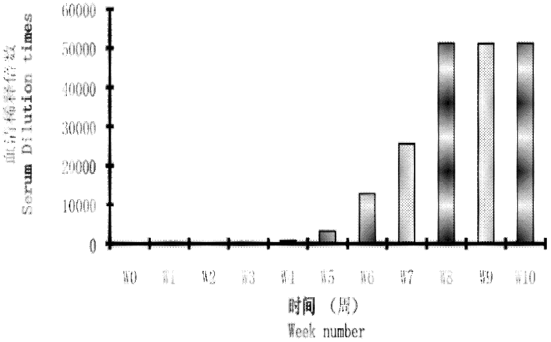 A method for producing turbot immunoglobulin