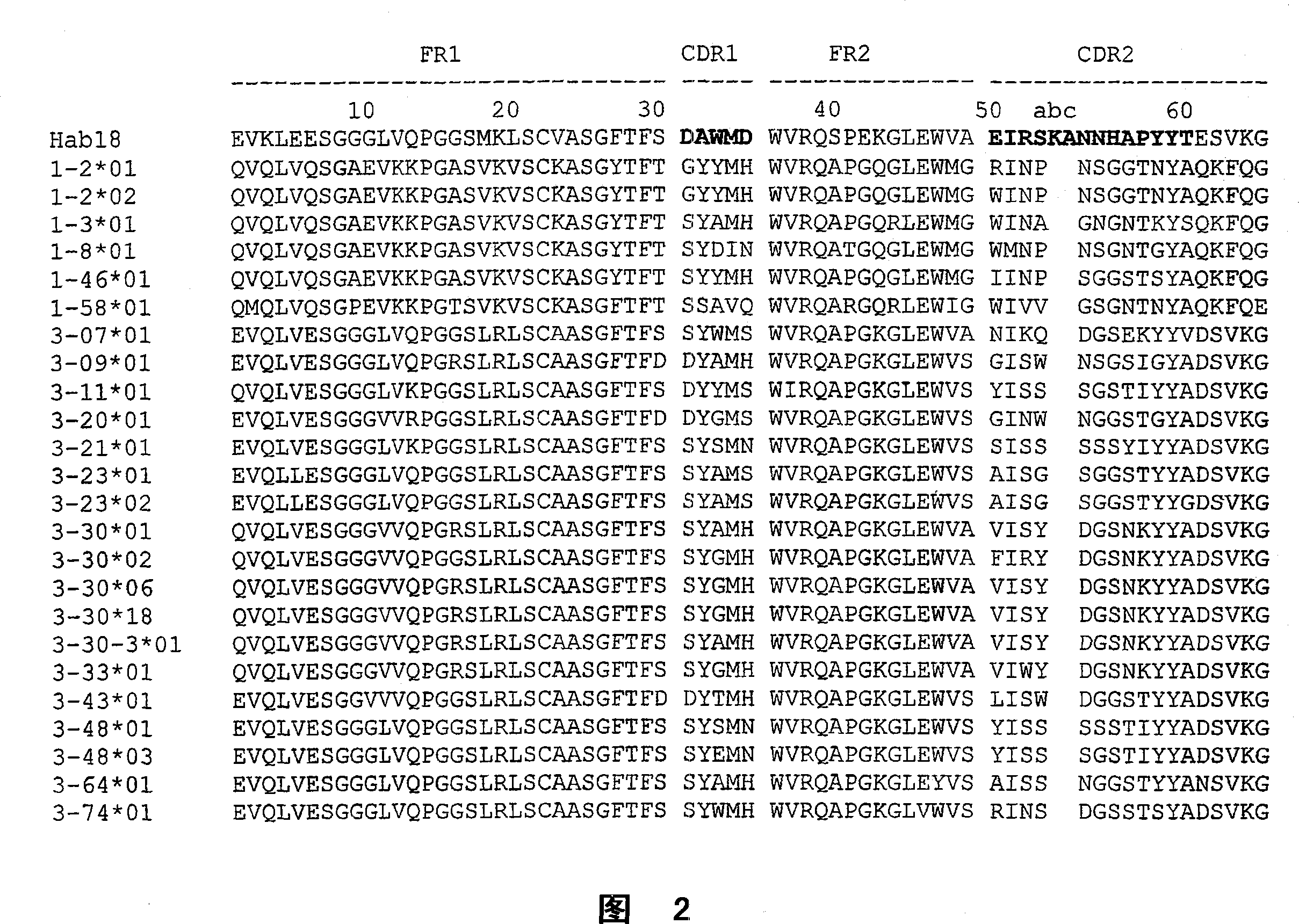 Antibodies specific for hepatocellular carcinoma and other carcinomas and uses thereof