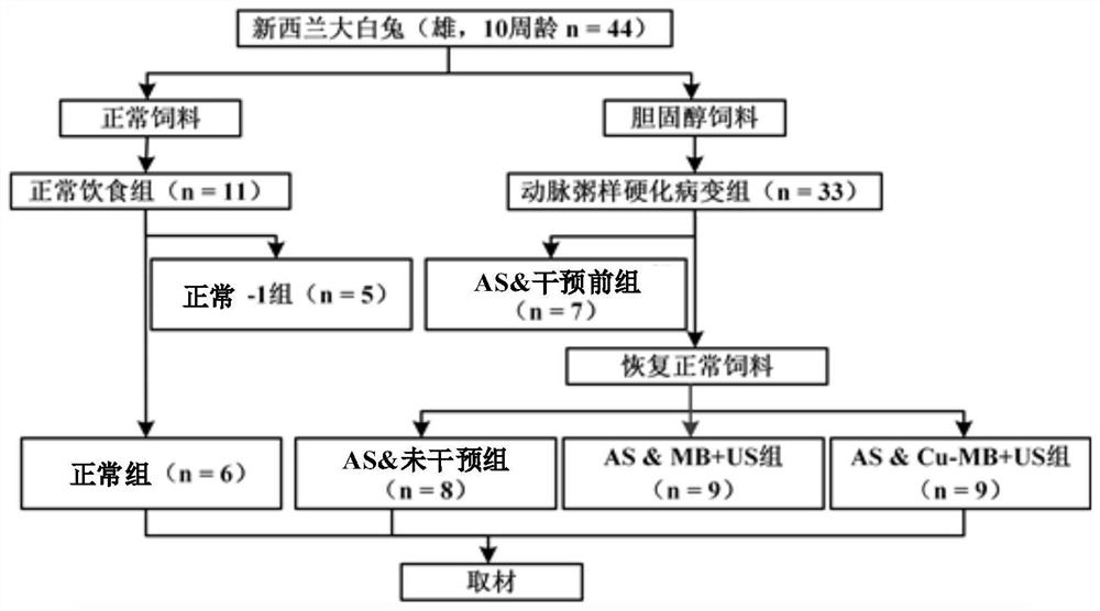 Pharmaceutical application of composition for treating atherosclerosis