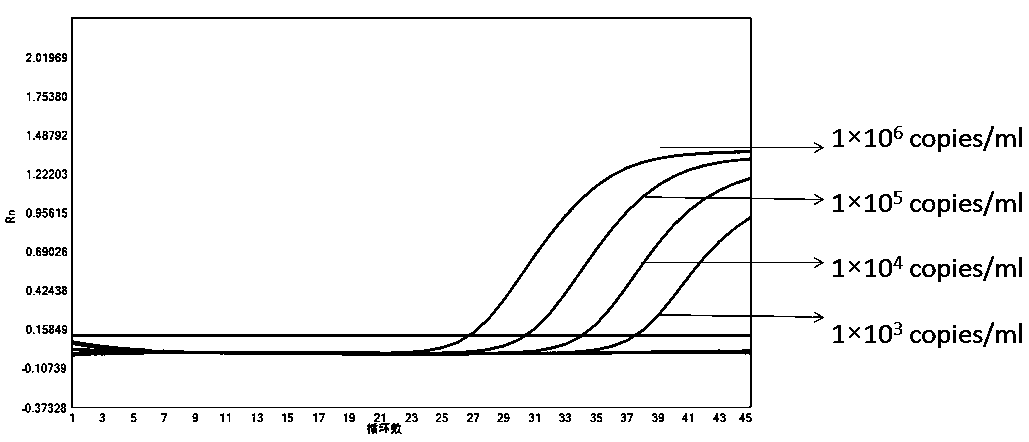 Detection kit for novel coronavirus, influenza A and B and respiratory syncytial virus