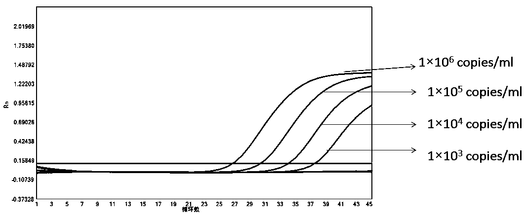 Detection kit for novel coronavirus, influenza A and B and respiratory syncytial virus