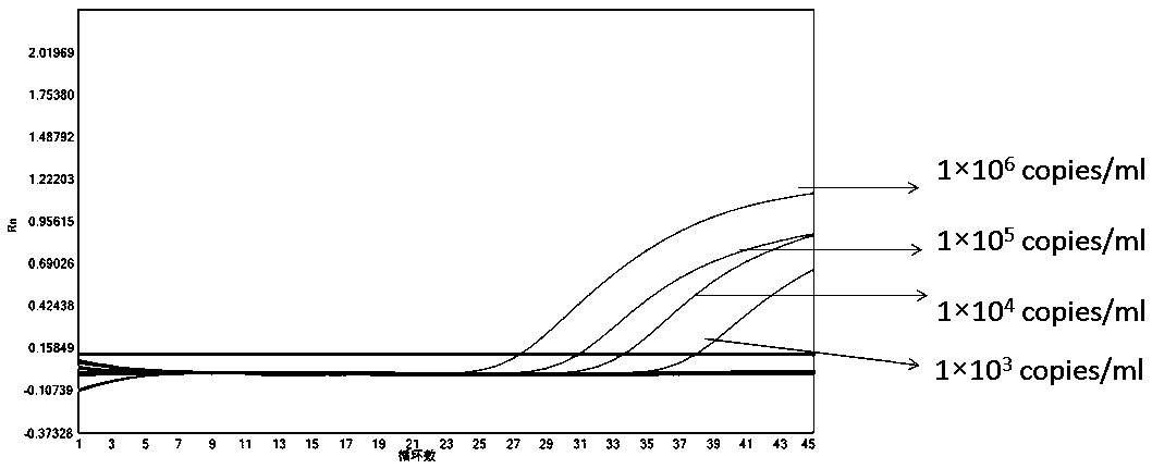 Detection kit for novel coronavirus, influenza A and B and respiratory syncytial virus