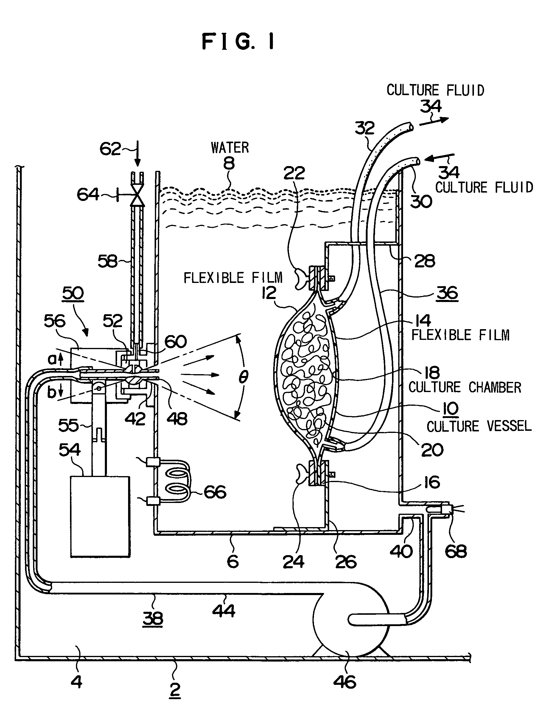 Cell/tissue culture apparatus