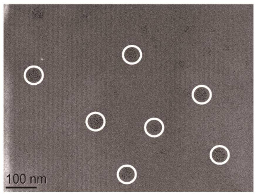 siRNA-loaded nanoparticles for CT/fluorescence dual-modality imaging and preparation methods and applications