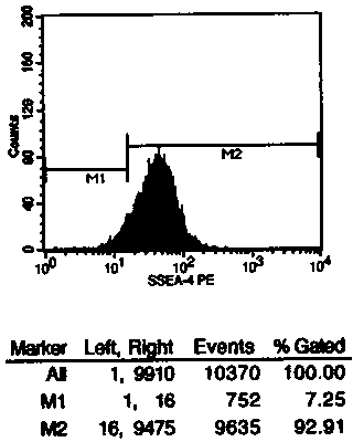 Method for preparing stem cells from human amniotic membrane