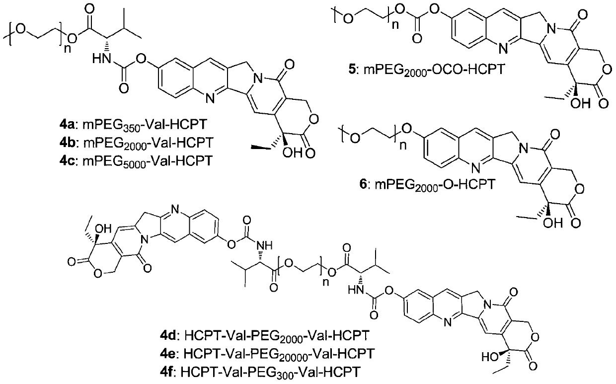 Novel water-soluble polyethylene glycol link-coupled hydroxycamptothecine derivatives and application thereof