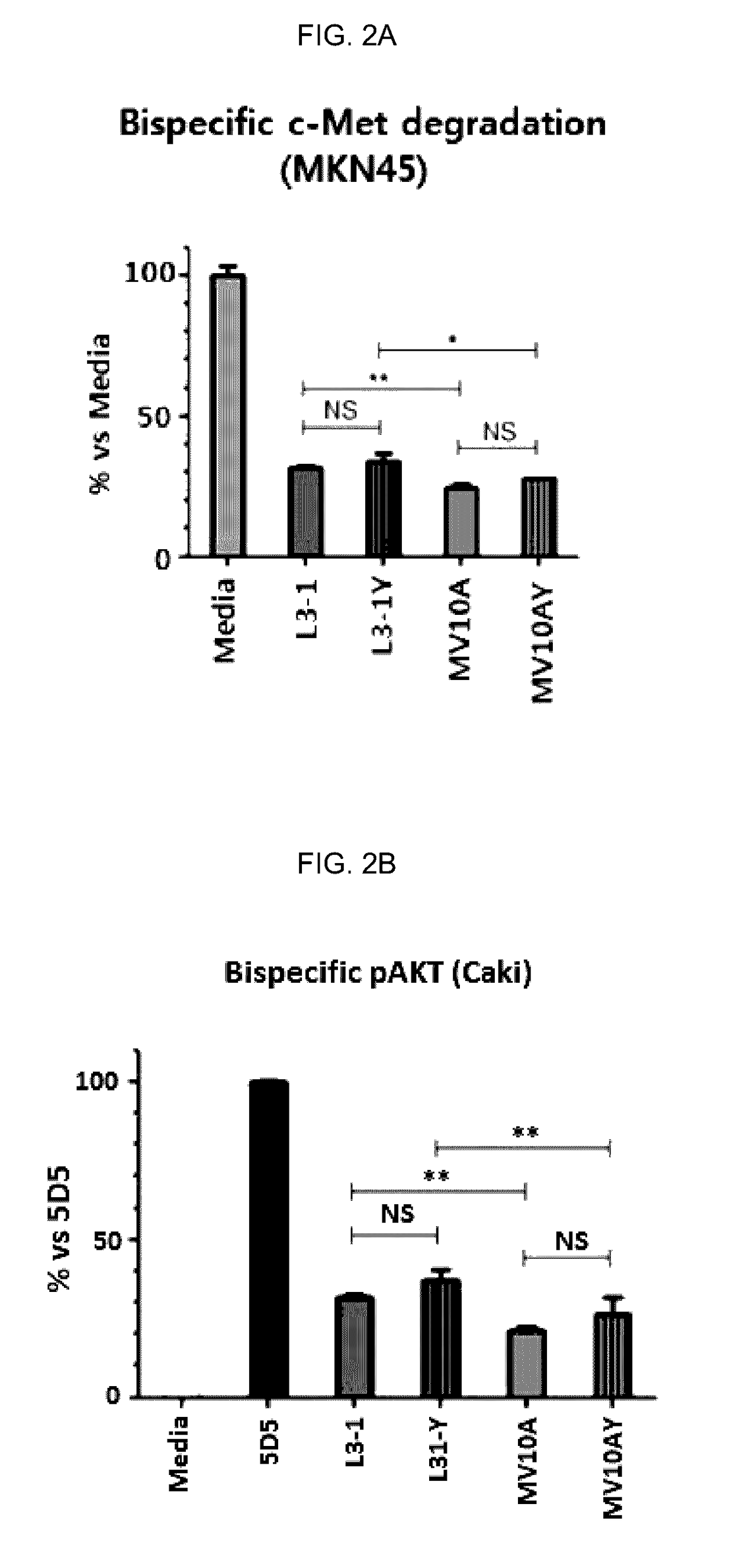 Fusion protein comprising anti-c-Met antibody and VEGF-binding fragment