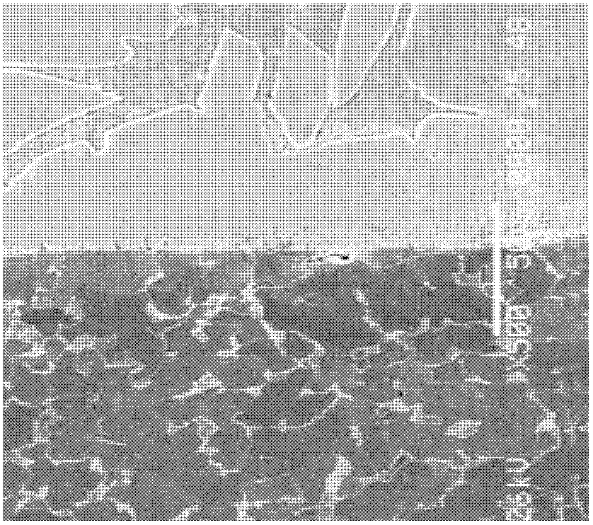 Dual metal joint interface metallographic etching agent and display method