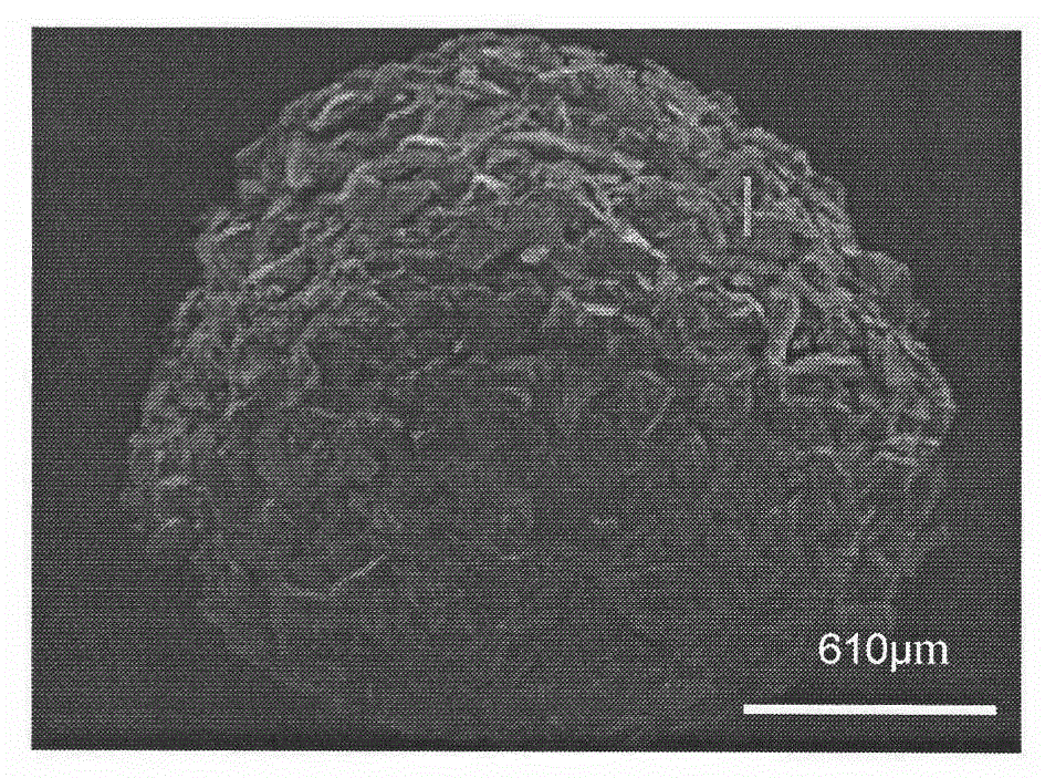 Method for preparing ceramic bond stacking abrasive material through centrifugal drying granulation technology