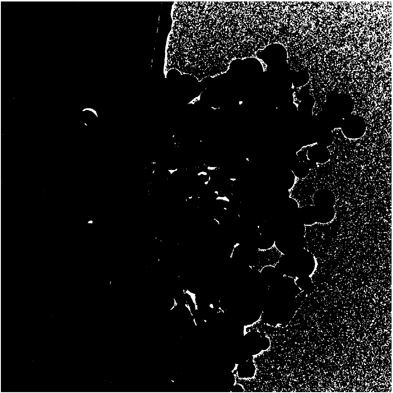 Graphene/metal matrix composite material and preparation method thereof