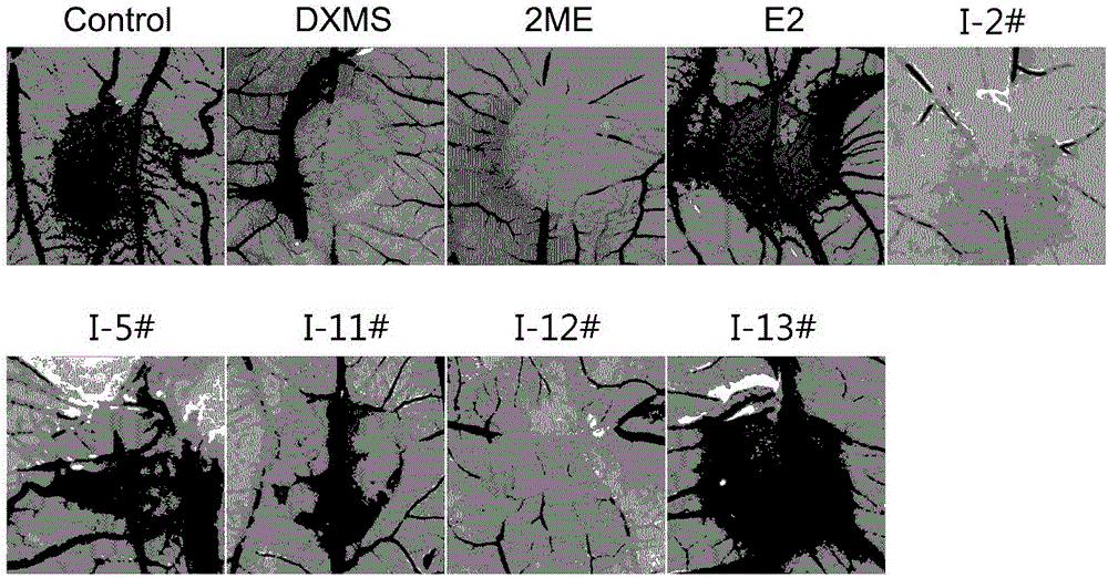 2/16-site-substituted chalcone derivative taking estrogen as mother nucleus and preparation method and application of derivative