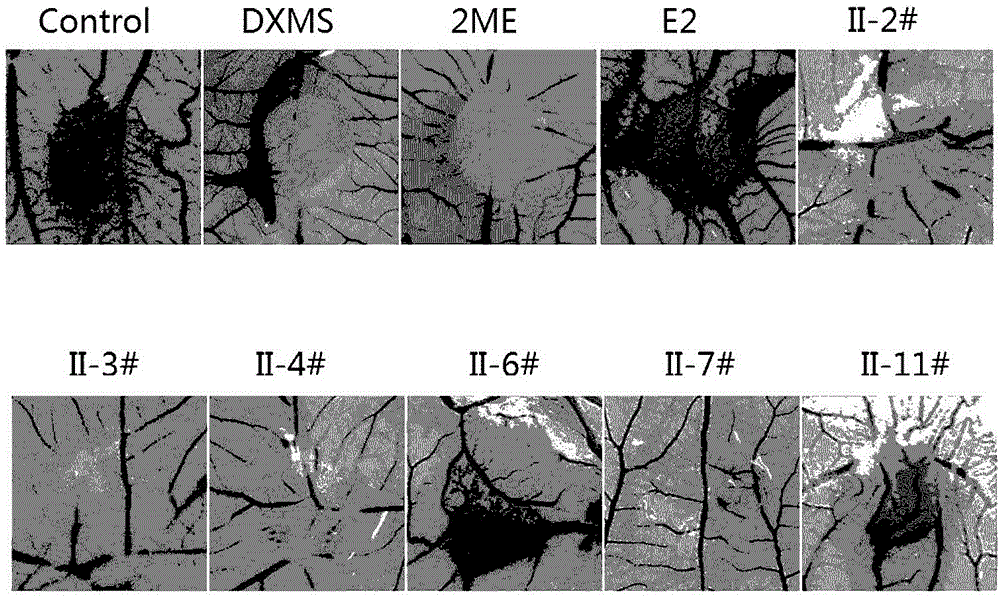 2/16-site-substituted chalcone derivative taking estrogen as mother nucleus and preparation method and application of derivative