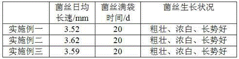 Preparation and use method of Miscanthus substrate for cultivating Agaricus bisporus