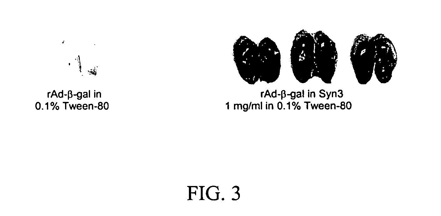 Methods and compositions for interferon therapy