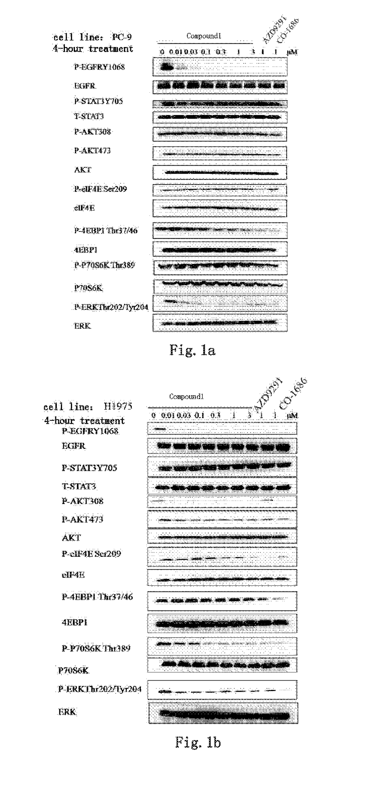 Novel kinase inhibitor against wild-type and mutant EGFR