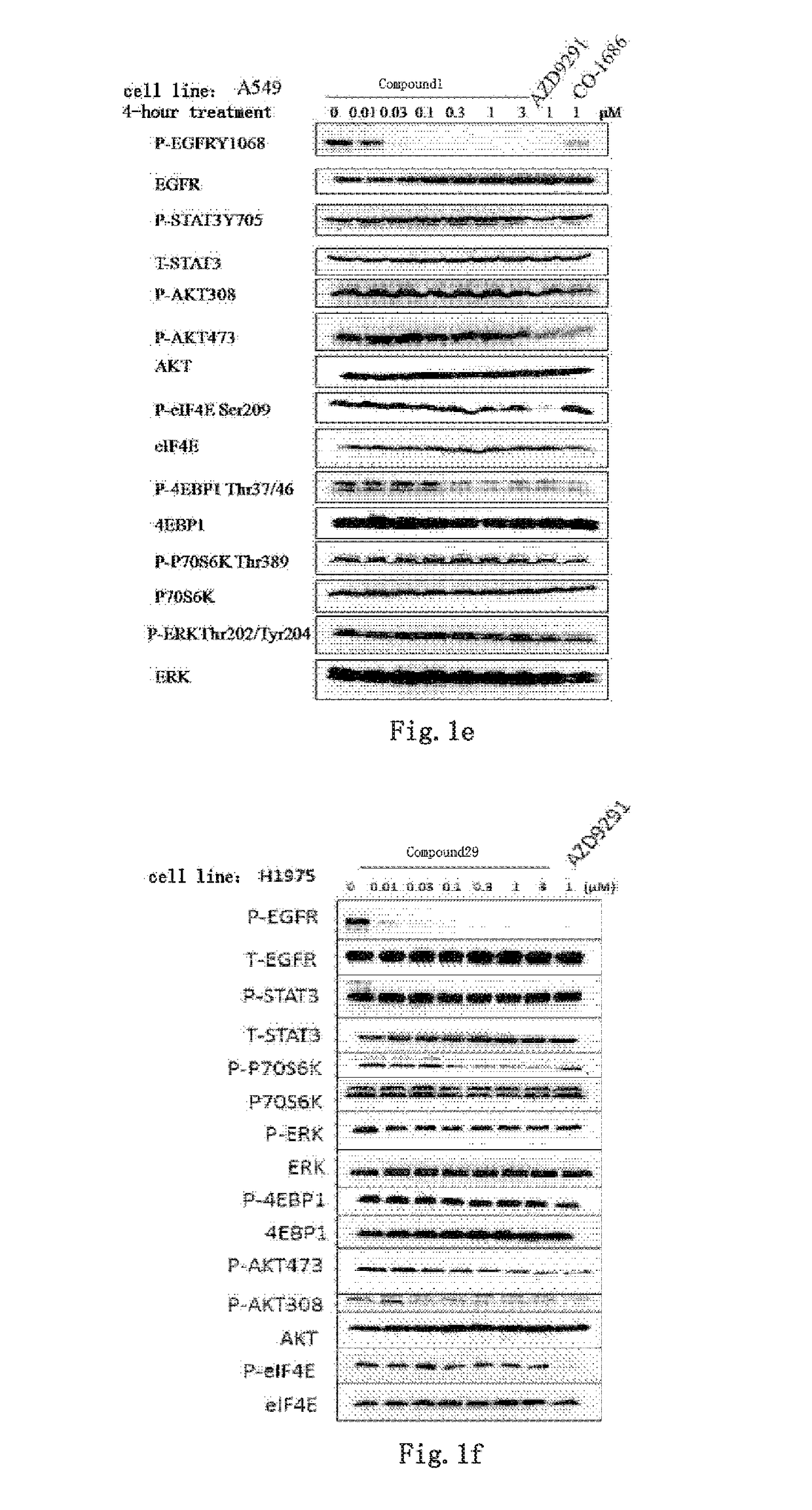 Novel kinase inhibitor against wild-type and mutant EGFR