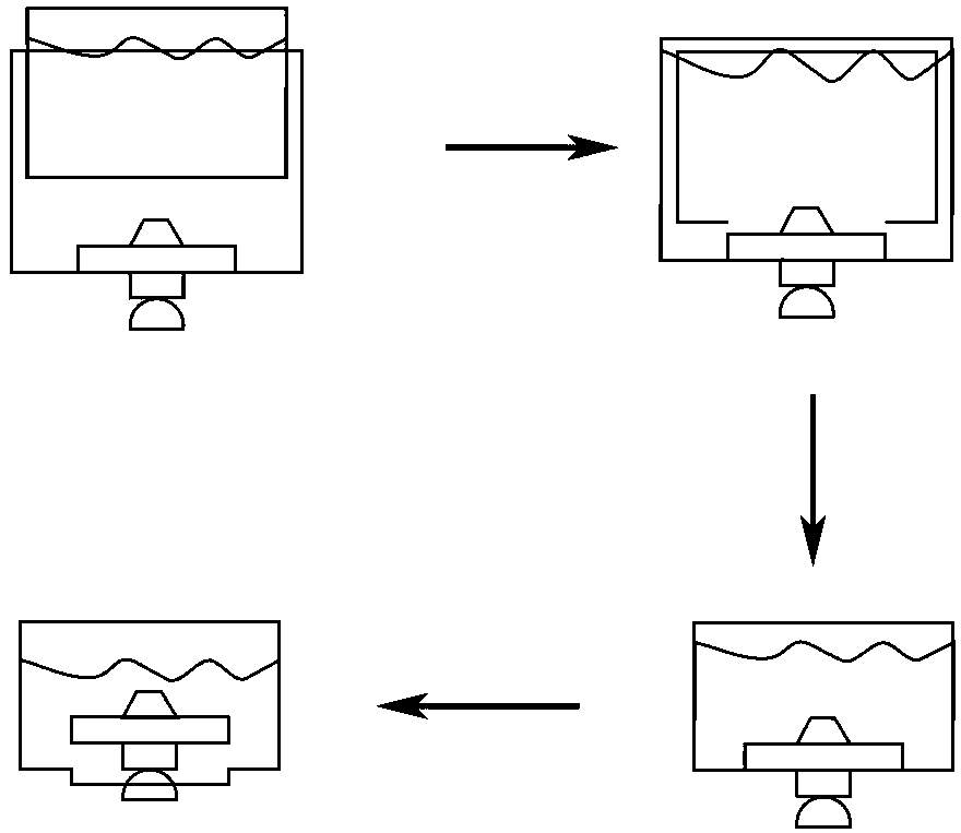 Atomizer with multiple tobacco extract bottles