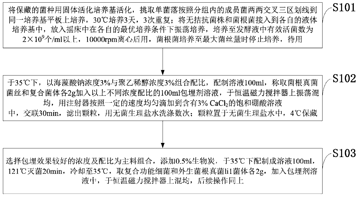 Composite mycorrhiza biological fertilizer, and preparation method and application thereof