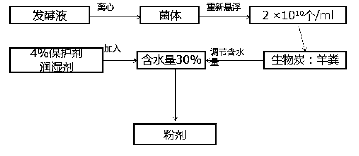 Composite mycorrhiza biological fertilizer, and preparation method and application thereof