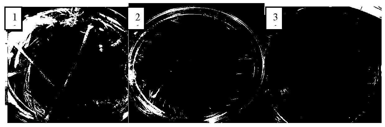 Composite mycorrhiza biological fertilizer, and preparation method and application thereof