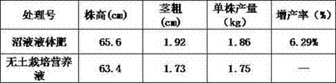 Liquid fertilizer used for eggplant based on biogas slurry and its application method