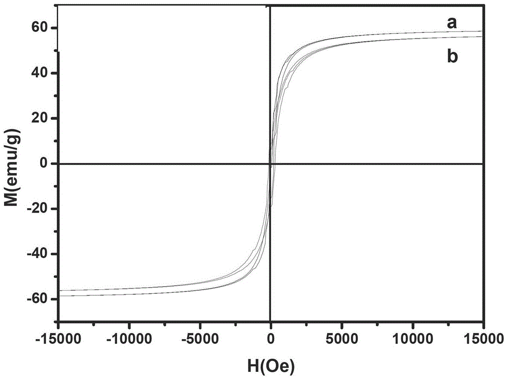 A method for preparing water-soluble magnetic nanoparticles