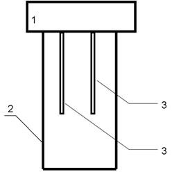 Detection method and device for portable rapid visual detection of copper ion content