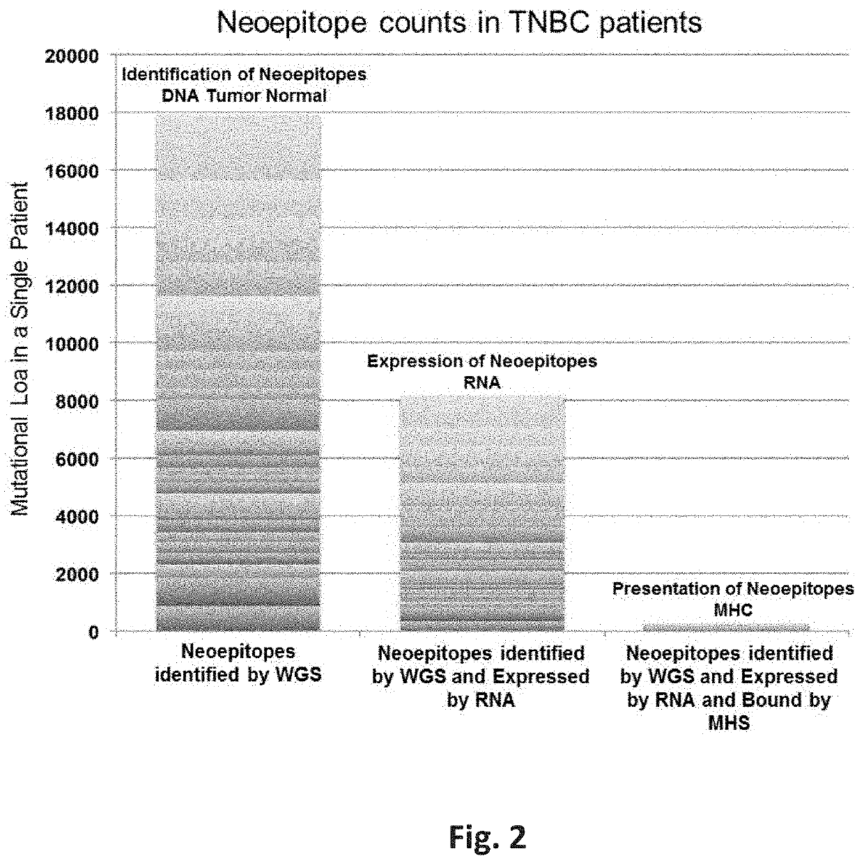 Neoepitope vaccine and immune stimulant combinations and methods