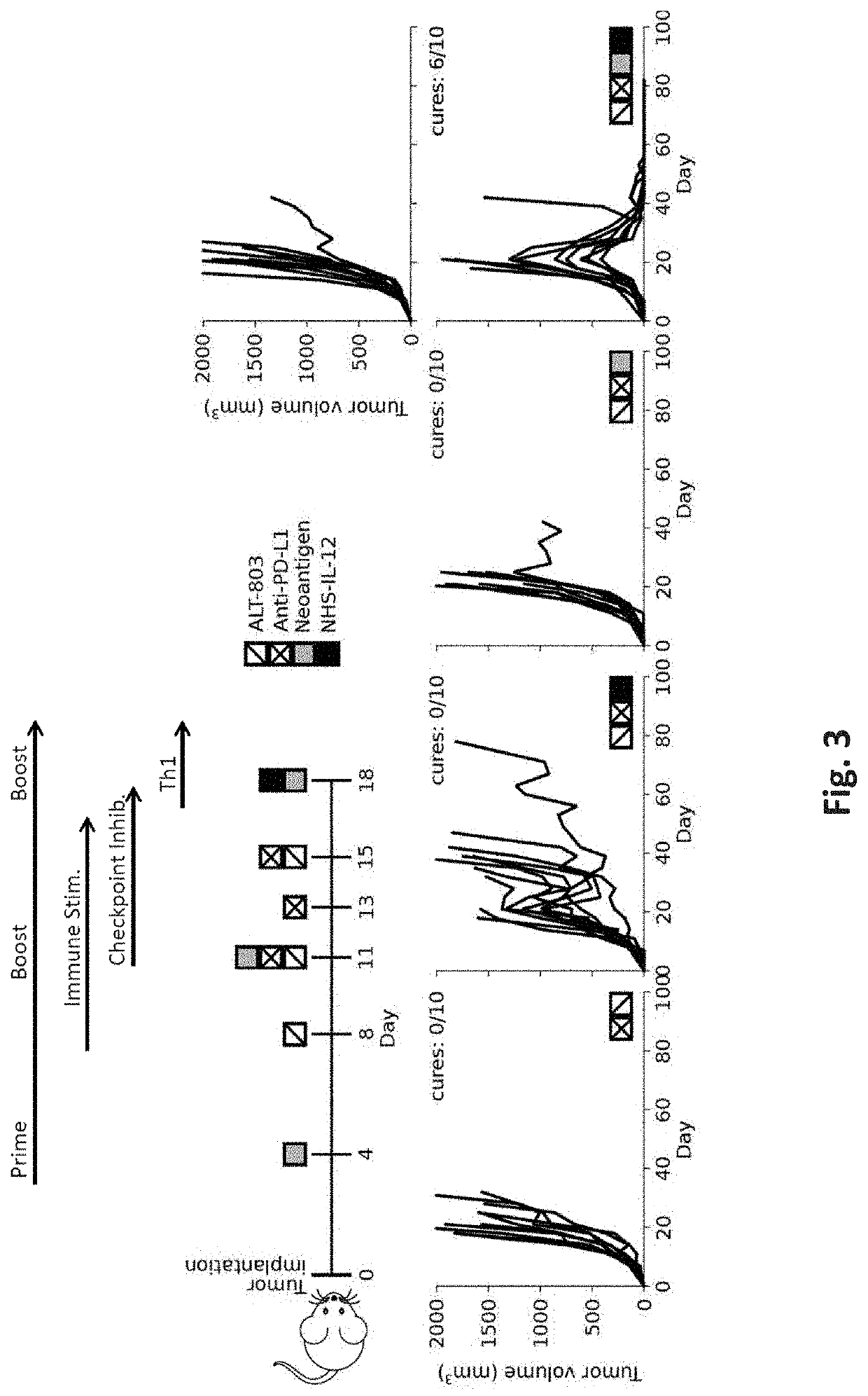 Neoepitope vaccine and immune stimulant combinations and methods