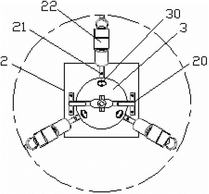 A pearl automatic drop and image acquisition device for sorting pearl shapes