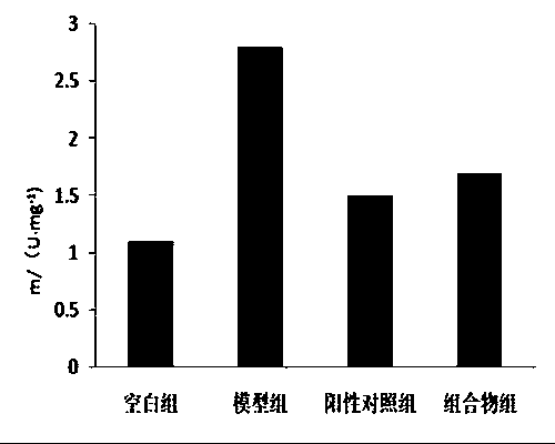 Composition and preparation for improvement of learning memory, and preparing method and application thereof