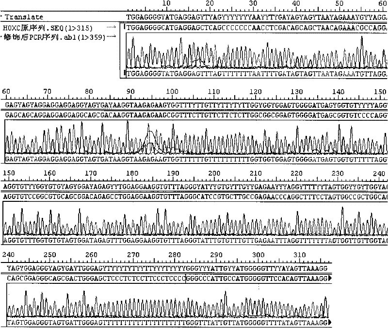 Kit and method for rapidly detecting DNA methylation