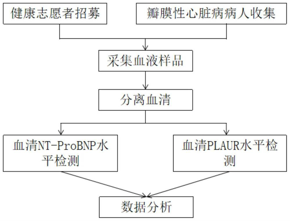 Novel marker for auxiliary diagnosis of valvular heart disease and auxiliary diagnosis product