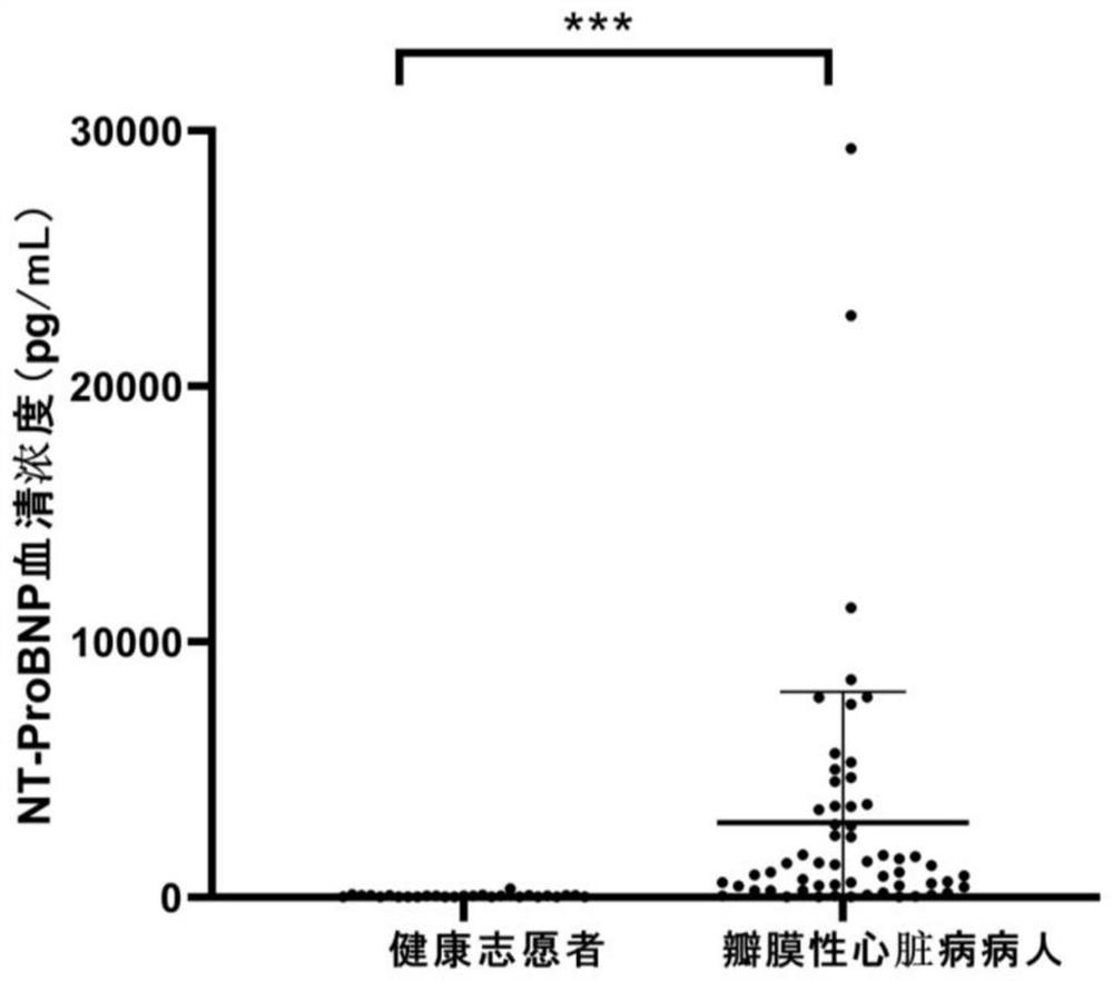 Novel marker for auxiliary diagnosis of valvular heart disease and auxiliary diagnosis product