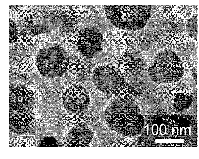 Surface enhanced raman scattering activity nanometer porous metal substrate and method for making same