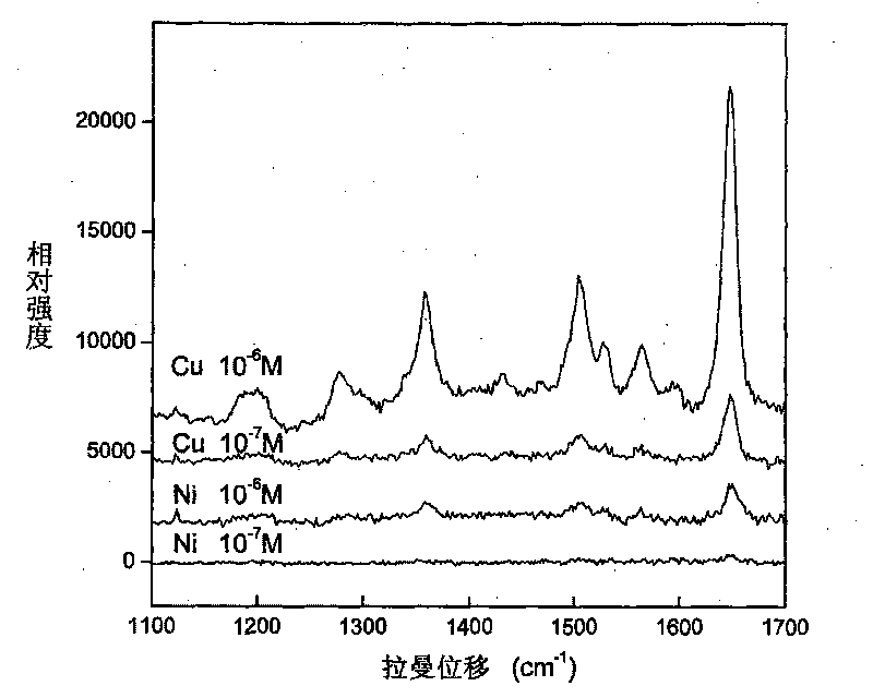 Surface enhanced raman scattering activity nanometer porous metal substrate and method for making same