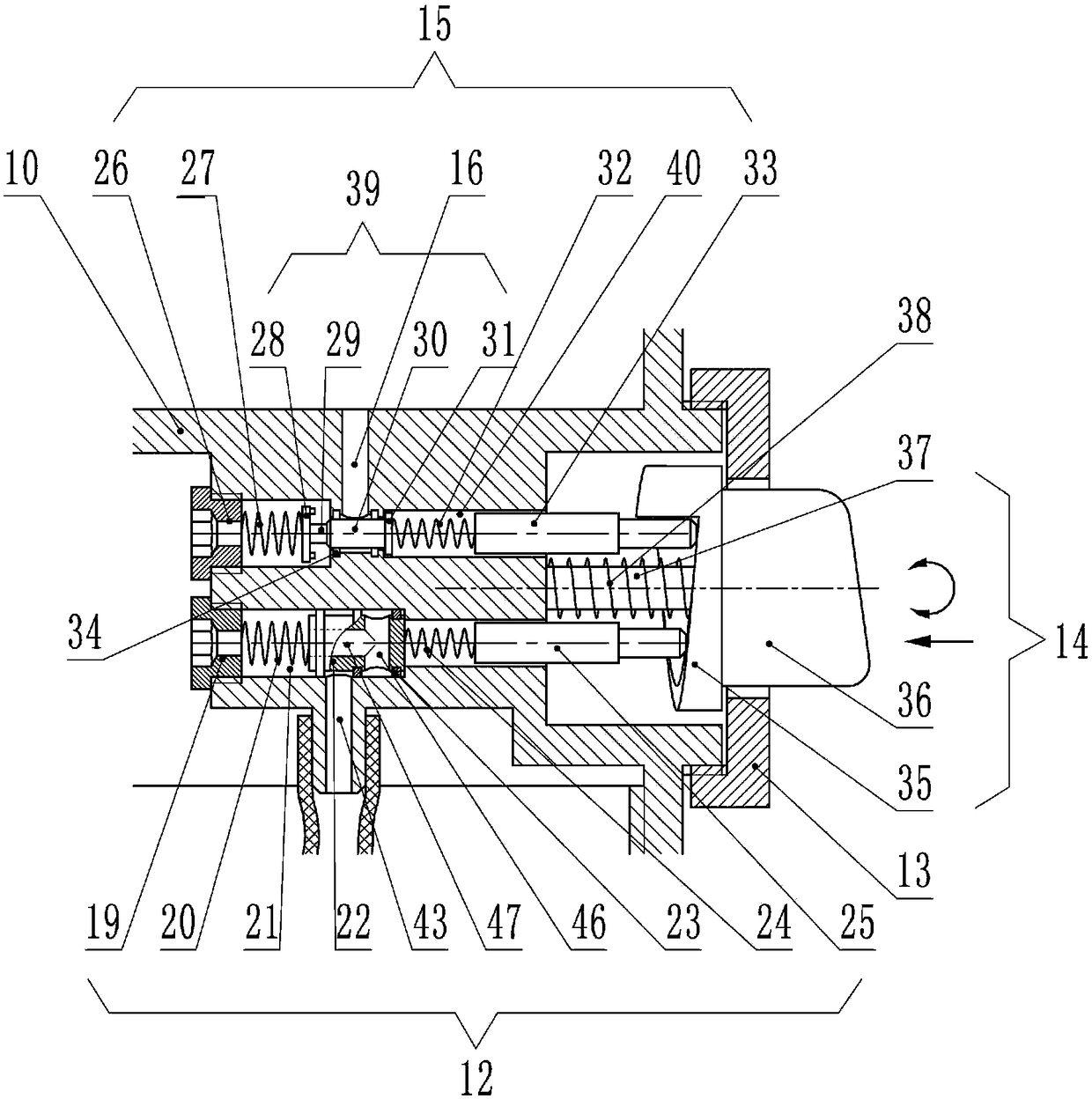 Low-pressure anaerobic bacterium culture device