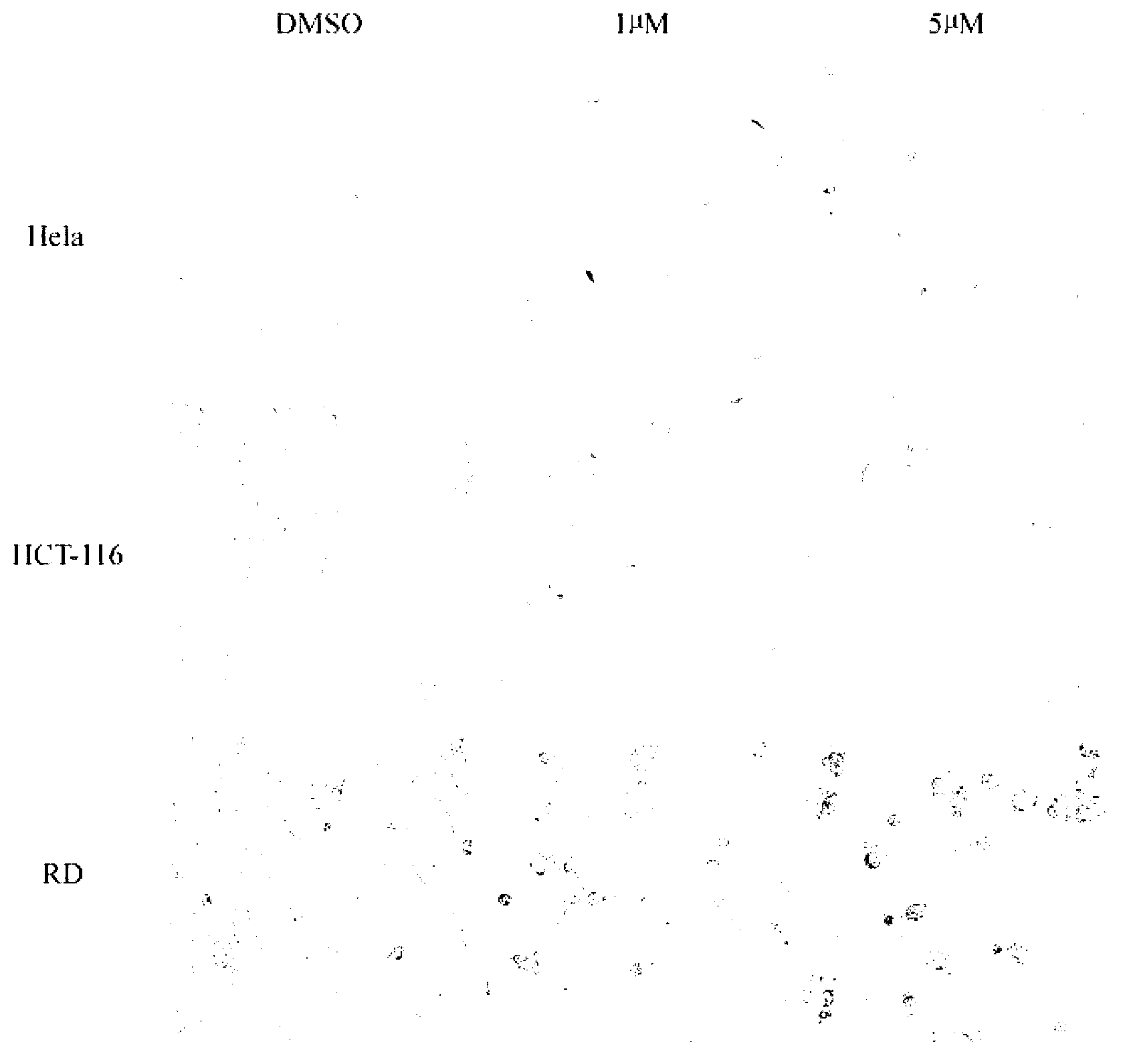 Application for thiazolidone derivative in preparation for broad-spectrum anti-cancer medicine