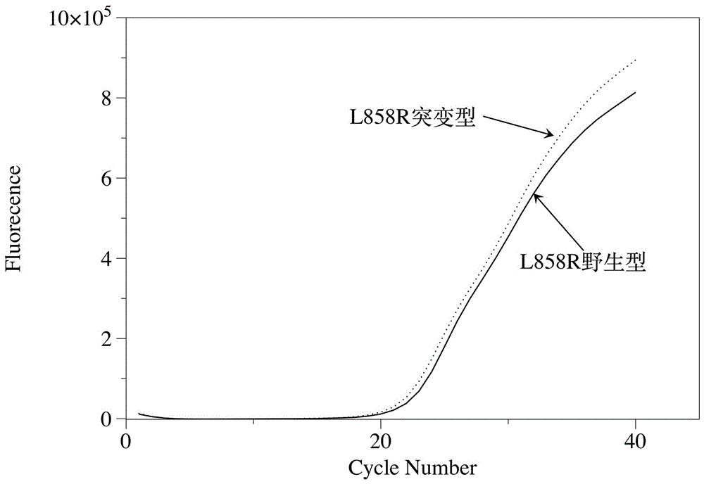 EGFR (Epidermal Growth Factor Receptor)/L858R mutant liquid biopsy kit and application thereof