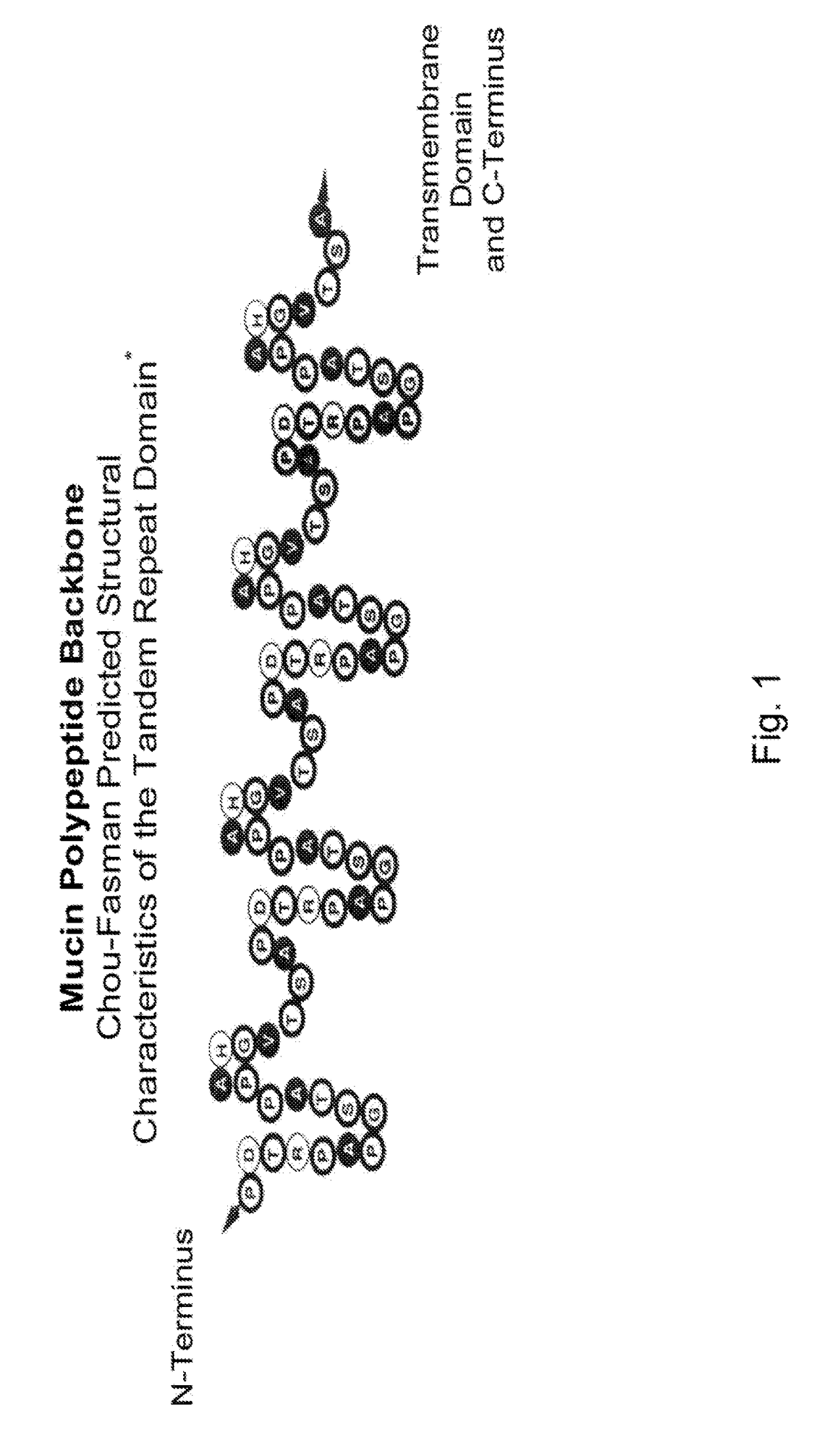 Tumor antigen specific antibodies and tlr3 stimulation to enhance the performance of checkpoint interference therapy of cancer