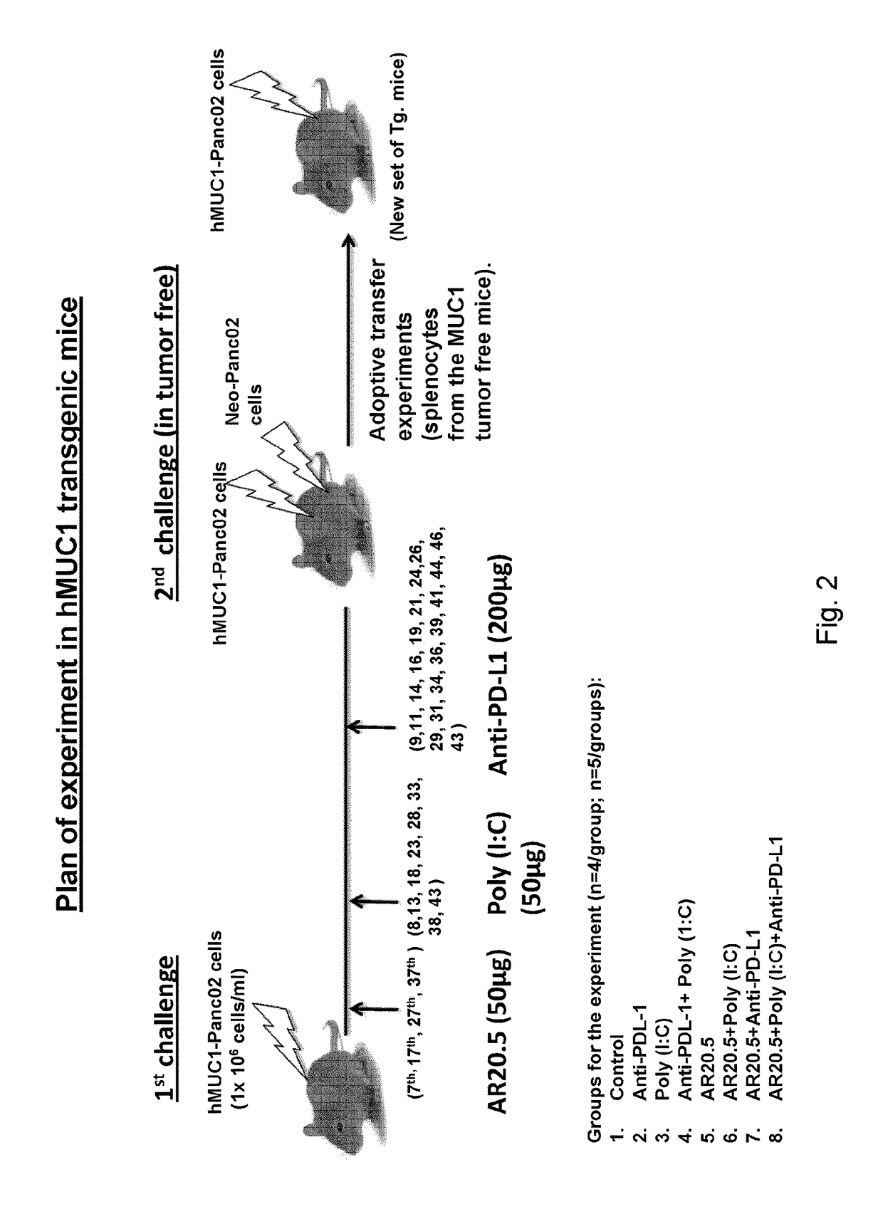 Tumor antigen specific antibodies and tlr3 stimulation to enhance the performance of checkpoint interference therapy of cancer