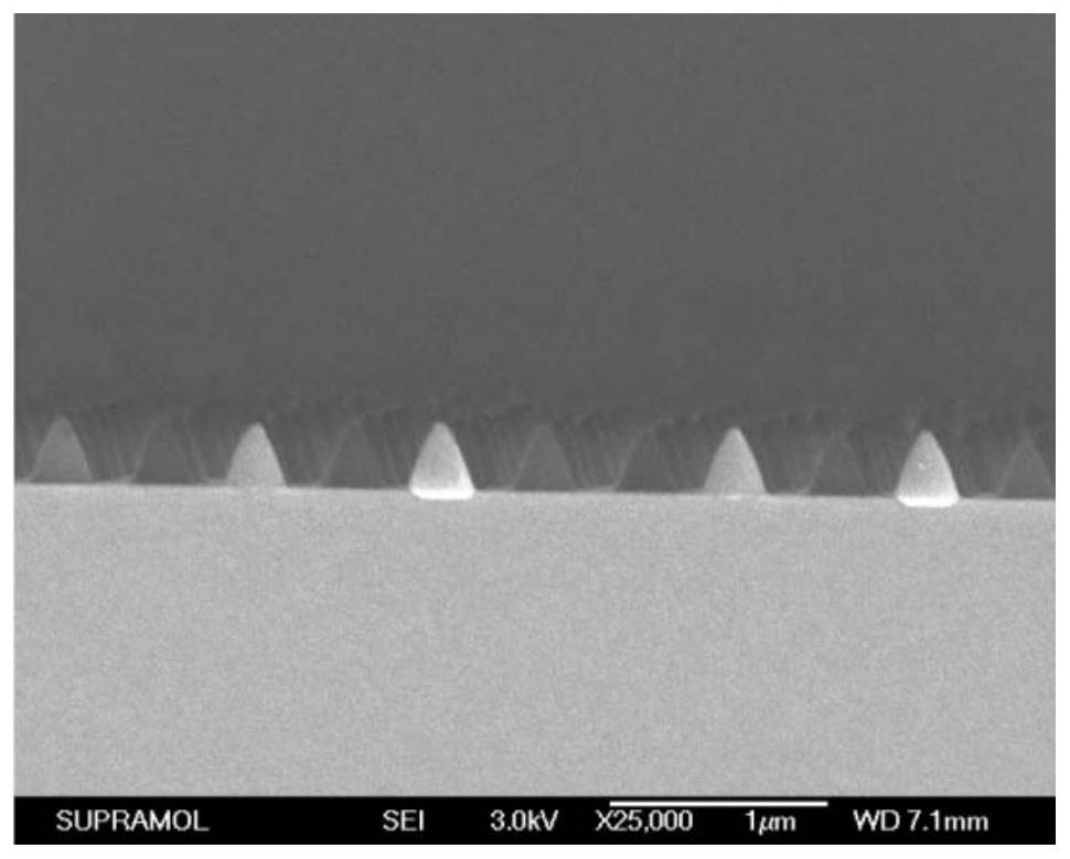 A kind of tapered array flexible electrode and preparation method thereof