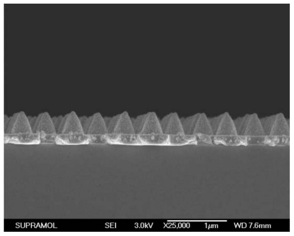 A kind of tapered array flexible electrode and preparation method thereof