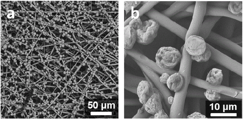 Water scour-resistant superhydrophobic composite membrane and preparation method and application thereof