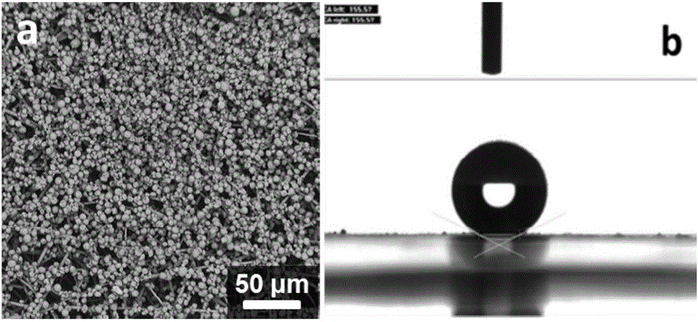 Water scour-resistant superhydrophobic composite membrane and preparation method and application thereof